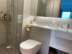 Eight Riversuites (D12), Condominium #595834711